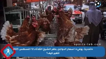 «تحديث يومي» أسعار الدواجن بكفر الشيخ الثلاثاء 12 أغسطس 2025 تتغير كيف؟